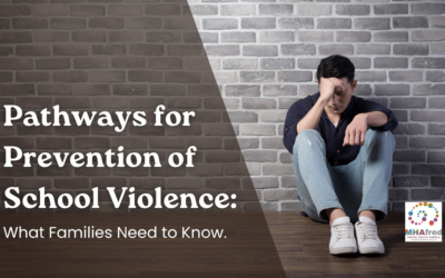 Pathways for Prevention of School Violence: A Comprehensive Approach